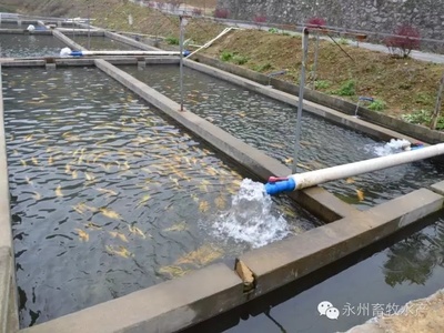 湖南省专家组来永州市开展农业部水产健康养殖示范场考核验收