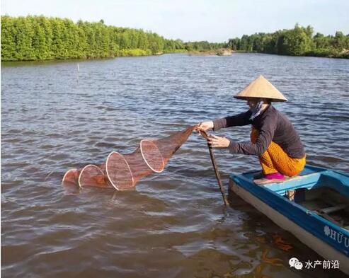 水产养殖的环保升级路径二