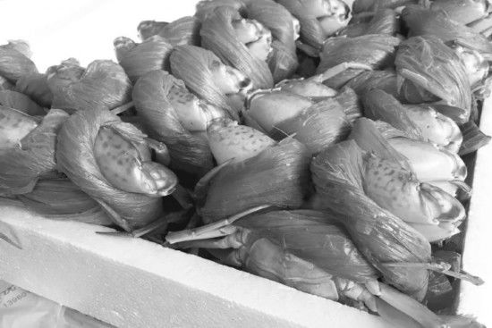 网传吃蟹黄可能致癌 水产专家 人工养殖安全可控